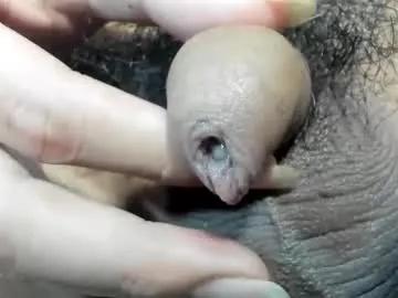 sasha_hale_ on Chaturbate 