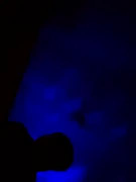 BlackCobraOwner's avatar