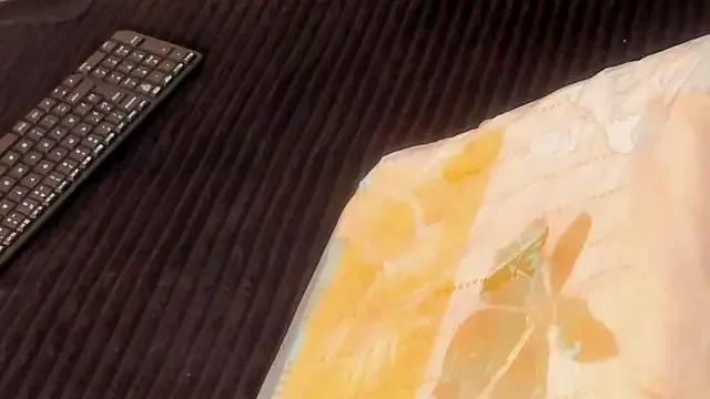 ParanoidTemptaion_ on StripChat 